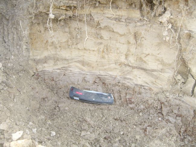  2006:09:14 02:49:41   AbandonedCh2a - wavy ripple laminations - photo 4.jpg